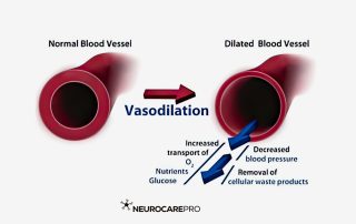 Vasodilation Natural Vasodilator