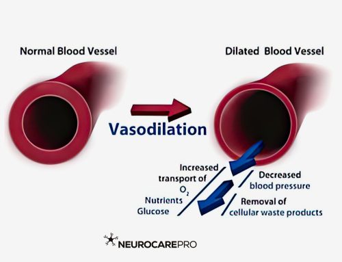 Understanding Vasodilation: The Key to Enhanced Healing and How Red Light Therapy Can Help
