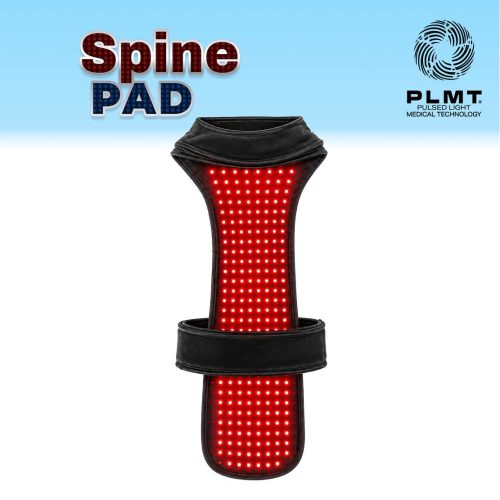 SpinePad